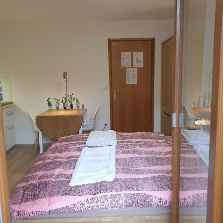 Apartmaji Pri Medvedu Studio Rudnica ボーヒニ エクステリア 写真