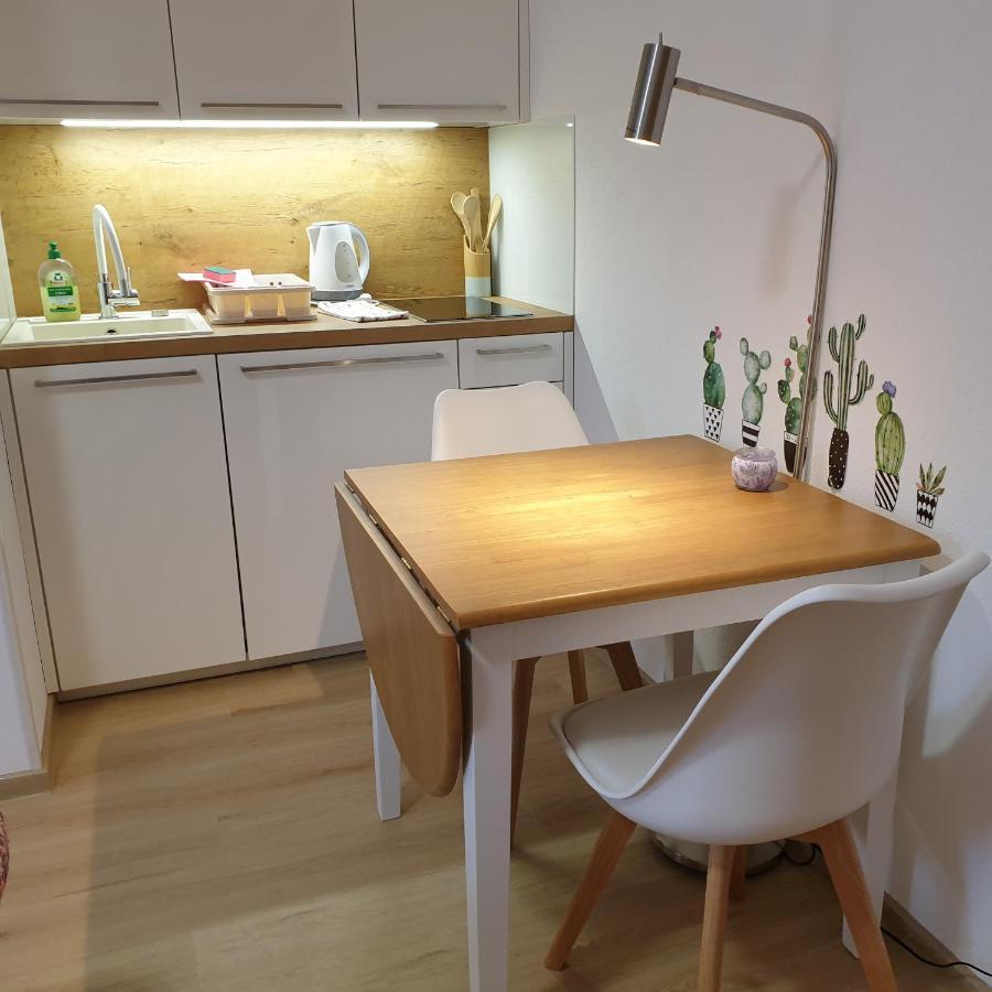 Apartmaji Pri Medvedu Studio Rudnica ボーヒニ エクステリア 写真